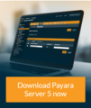 Payara Server 5 is out!