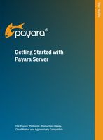 Getting Started with Payara Server