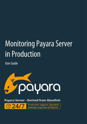 Monitoring Payara Server in Production - User Guide