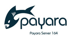 Payara Server 164 is out!