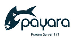 Payara Server 171 is out! image #1