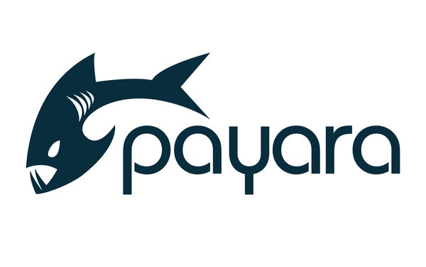 Download Payara server